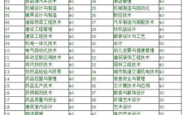 盐城工业职业技术学院中外合作办学学费多少钱一年