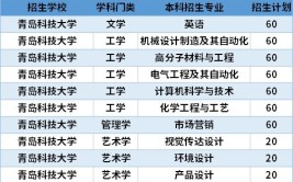 青岛科技大学中外合作办学专业有哪些？