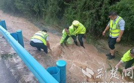 相关部门已介入调查(积水雷雨路面触电相关部门)