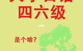 大学可以用日语代替英语四六级吗