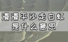 漫漫平沙走白虹什么意思