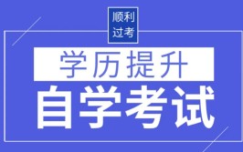 河南省自考考试是专升本吗