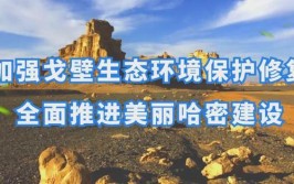 巴里坤县农牧民体育运动场改扩建项目竣工投用(农牧民巴里看台运动场项目)