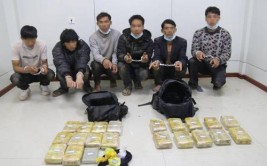 12人贩毒团伙覆灭！抓捕现场曝光(冰毒贩毒团伙王某抓捕)