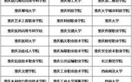 重庆有哪些大学可以报考成考