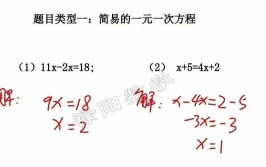 数学方程中的元次等术语是谁创造的