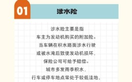 纯电动汽车自燃找谁赔？自燃险、涉水险到底该不该买？(自燃涉水电动车该不该电动汽车)