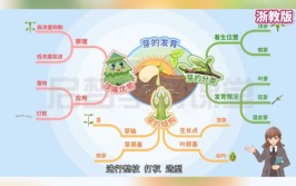 张晨曦植物的一生思维导图