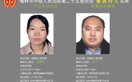 安阳市发布今年首次诚信“红黑榜”44家失信企业被列入“黑名单”(有限责任公司有限公司俱乐部东风培训学校)