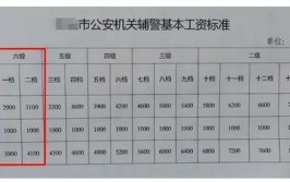 快来看看！(报名公安局公安基本工资巡警)