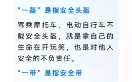 @全车人员！系安全带不仅仅是一个人的事！所有人都要系！ | 一盔一带(安全带都要微软仅是人员)