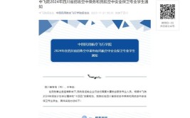 2024年民航空中安全保卫专业是干嘛的