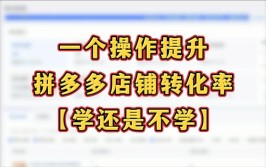 拼多多开车转化率多少可以做？拼多多直通车转化率低怎么办？(转化广告品类价格卖家)