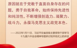 六中全会精神在基层｜锻造坚强领导力量——各地学习贯彻落实六中全会精神深入推进全面从严治党观察(红色治党群众党史党员干部)