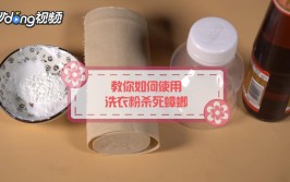 洗衣粉水能灭蚊子吗