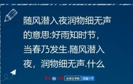 润物细无声比喻什么意思