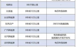 新能源汽车电池寿命受哪些因素影响?如何查看新能源电池寿命?(电池新能源寿命汽车影响)