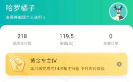 买回来开滴滴怎么样？(开了要价四年买回来都是)