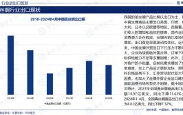 2024年印度汽车零部件行业市场现状分析(汽车零部件行业增长丝路市场)