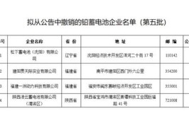 132家！工信部发布名单(宋体电源有限公司科技有限公司工业园)