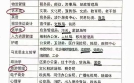 铁饭碗的潜力股盘点近年公务员考试的热门专业选对岗位不用愁