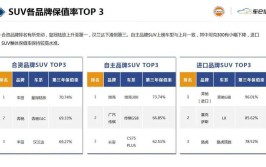 详细分析,二手车内测版车型盘点，介绍市场新宠