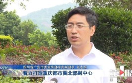 四川省广安市武胜县要修飞机场？一网民造谣被处罚(视频网民虚假飞龙流量)