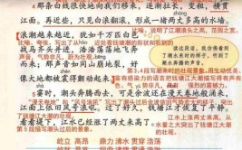 观潮第四段是从哪两方面写的