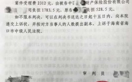 法院判决保险公司仍需赔偿(李某极目赔偿保险公司判决)