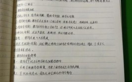 教育学原理和教育学基础一样吗