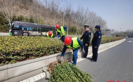 青岛市城市管理局启动春季护绿专项执法行动 发布城市绿化温馨提示