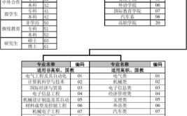 大学学号是根据什么来排的