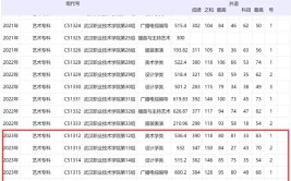 2024年湖北艺考生可以报哪些大学