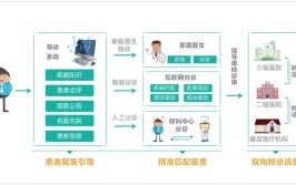 患者少跑腿——中部地区加速“互联网+医疗健康”建设观察(就医患者诊疗数据基层)