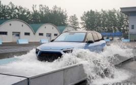 油车更有保障？一场暴雨扒开新能源的伪装(油车新能源雨天扒开更有)