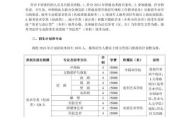 2024天津美术学院中外合作办学学费多少钱一年