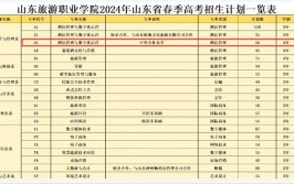 2024浙江舟山群岛新区旅游与健康职业学院中外合作办学学费多少钱一年