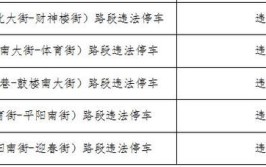 东营市公安局高速公路交通警察支队关于启用交通技术监控设备的公示(双向交通警察交通公示公安局)