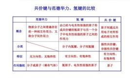 分子间作用力和范德华力的区别