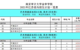 南京审计大学金审学院艺术类专业有哪些？