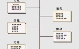 记账报税是什么意思