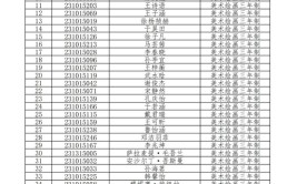 新疆具备艺术校考资格的学校有哪些