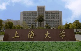 上海市大学有哪些？