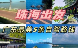 上海沿海自驾至珠海（出行准备）(买了保温箱路过备胎衣物)