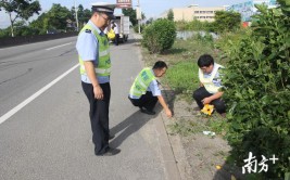 疲劳驾驶致人死亡！开平交警鏖战56小时侦破逃逸案(车辆肇事驾驶民警李某)