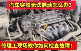 发动机故障灯报警是什么原因？要如何解决呢？修理工来告诉你(故障发动机修理工告诉你报警)