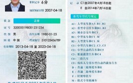这些城市启用“电子驾照”！操作指南来了(驾驶证电子申领纸质驾驶人)