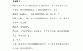 独坐幽篁里全诗的意思是什么