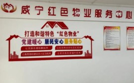 河南社旗：小小卡片“大民生” 红色物业“亮晶晶”(社区居民服务这是物业公司)