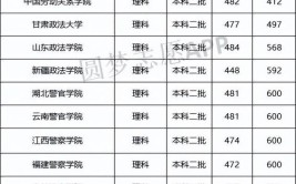 2024政法专业大学排名及分数线